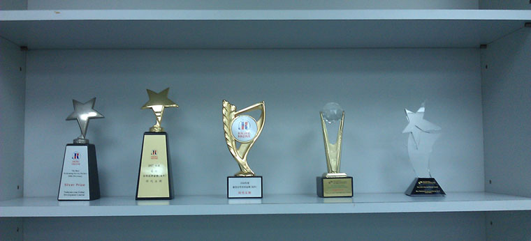 CNNIC CN domain name registration mechanism of gold