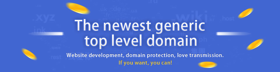 The newest generic top level domain