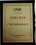2013 Annual CNNIC Best Popularized Award