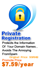 Private domain name protection